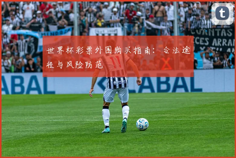 世界杯彩票外围购买指南：合法途径与风险防范