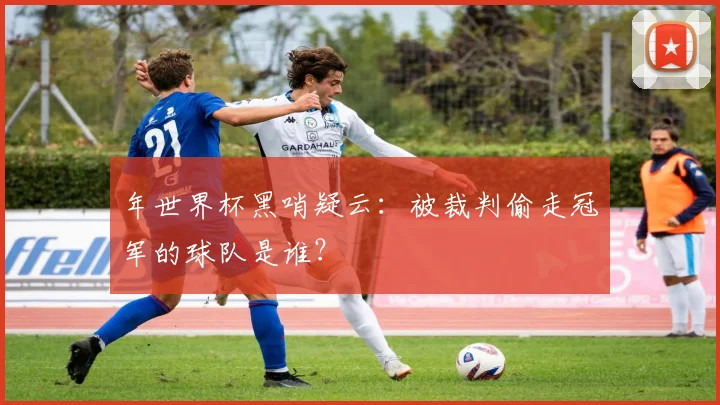 年世界杯黑哨疑云：被裁判偷走冠军的球队是谁？