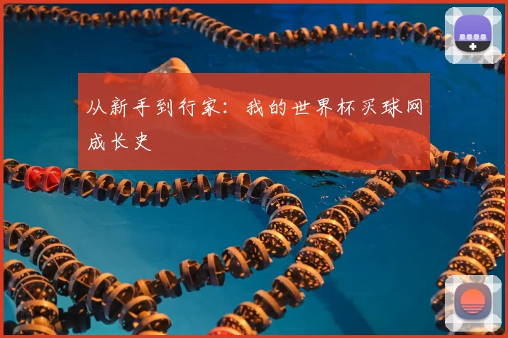 从新手到行家：我的世界杯买球网成长史