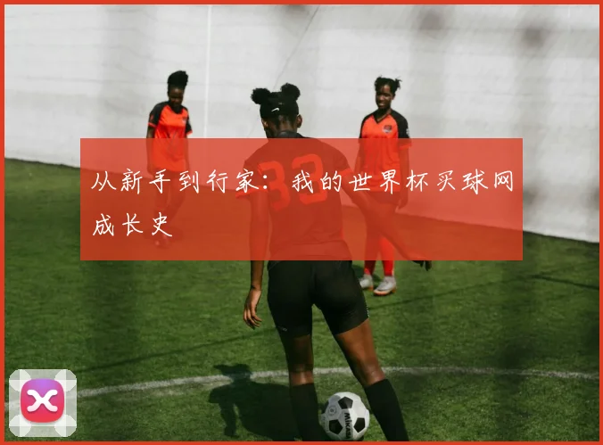 从新手到行家：我的世界杯买球网成长史