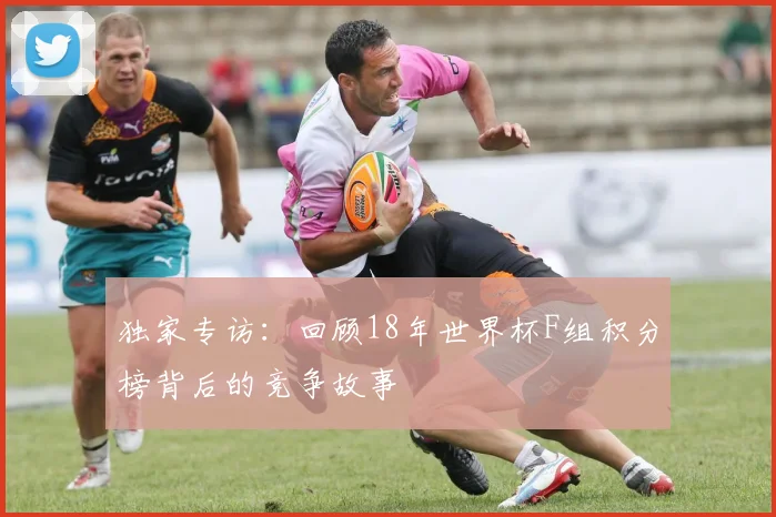 独家专访：回顾18年世界杯F组积分榜背后的竞争故事
