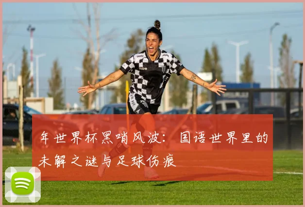 年世界杯黑哨风波：国语世界里的未解之谜与足球伤痕